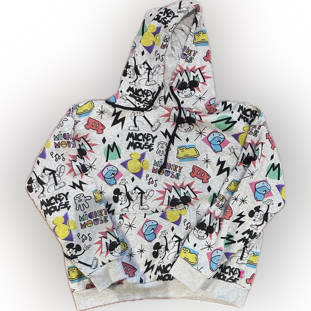 HTF Disney Artist Series Pullover Sweatshirt Hoodie by Rafael Faria (Medium)